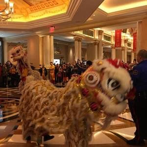 Meet your Posher, Markandgina